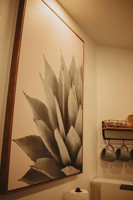 Agave Tiny House At Cactus Flower-Hot Tub-Pet Friendly-No Pet Fees! Albuquerque Exterior foto
